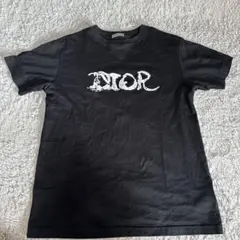 【レア】◆底値◆ DIOR Tシャツ 22AW XXL レア】◇底値◇ DIOR Tシャツ22AW XXL