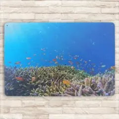 Item thumbnail for item 2b09379b-6592-4242-a95d-12605e6bd1a1