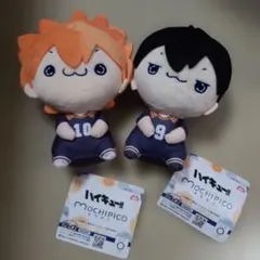 【５】ハイキュー　もちぴこ　日向翔陽&影山飛雄