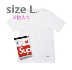 Supreme/Hanes Tagless Tees (3 Pack)