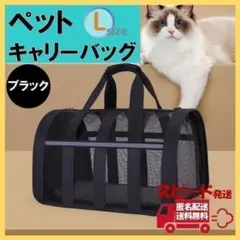 Item thumbnail for item fd765324-33ca-47b2-8593-5af2b8f3c5e1