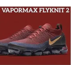 限界価格【♕極レア✨】NIKE AIR VAPORMAX FLYKNIT 2