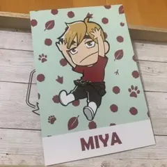 ハイキュー!! 東武動物公園 宮侑 グッズ購入特典 非売品 ポストカード