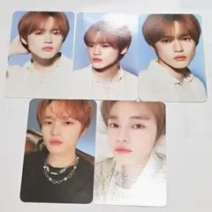 チョンロ NCT DREAM 2024 シーグリ シーグリパック トレカ セット