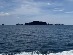 コベッツ様　専用