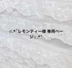 レモンティー様専用ページ•*¨*•.¸♬︎