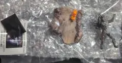 ウルトラマンダイナ 特撮STAGEMENT 新たなる影 ゼルガノイド 미개봉