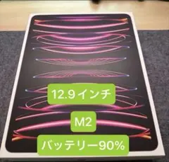 iPad Pro 第6世代 M2 12.9インチ スペースグレー　極美品