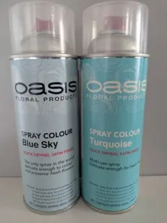 新色】OASIS オアシス スプレーカラー 2本セット - メルカリ