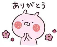 namakenoko様 リクエスト 2点 まとめ商品