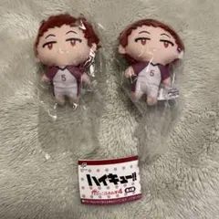 ハイキュー!! ぬいぐるみ 2体セット