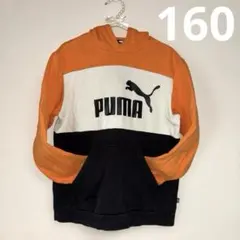 フード付きトレーナー