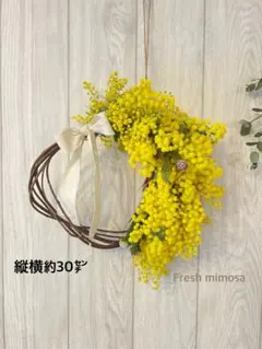 ミモザのハーフリース ❁⃘*.゜約30㎝ユーカリ、ネイティブフラワーも使用