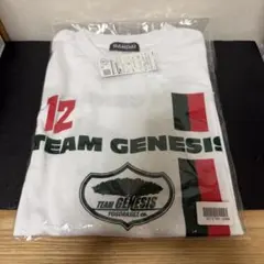【未開封】広島カープ　衣笠祥雄　連続試合出場世界記録記念Tシャツ　Ｌ　レア　希少 未開封】広島カープ 衣笠祥雄 連続試合出場世界記録記念Tシャツ L