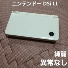 ニンテンドー DSi LL ホワイト、充電器付き