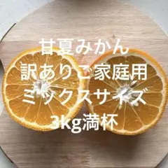 甘夏みかん 約3kg 訳ありご家庭用　ミックスサイズのサムネイル