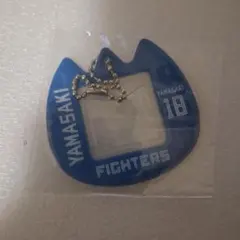 ショウコ様 リクエスト 2点 まとめ商品