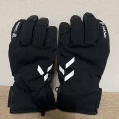 Goldwin ウィンタースポーツ用グローブ ブラック