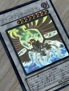 2026年最新】ブラックフェザードラゴン ホロの人気アイテム - メルカリ