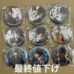 僕のヒーローアカデミア　ヒロアカ　轟凍焦　コレクション缶バッジ　HEROES