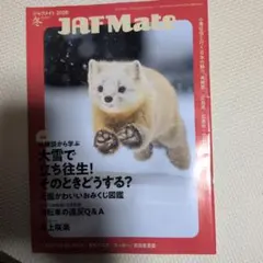 Item thumbnail for item 54f4f18d-b7e0-404b-8ad1-9ceaf9faf23b