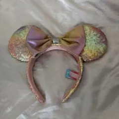 ディズニーランド　40周年　カチューシャ