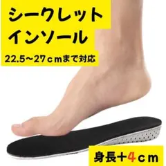 シークレットインソール ４cmアップ 22.5～27cm 中敷き 身長UP