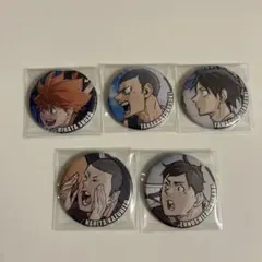 ハイキュー キャラバッジ コレクション 缶バッジ 烏野高校