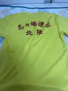 志々場連合 北陸 ハンドボールチーム Tシャツ ブルー - メルカリ