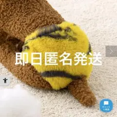 Item thumbnail for item 8213f328-c1f1-463a-9423-e2ef2ed15086