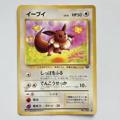 【PSA8】旧裏　イーブイ　ポケモンジャングル　英語版　ポケモンカードゲーム PSA8】旧裏 イーブイ ポケモンジャングル 英語版 ポケモンカードゲーム
