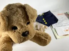 2025年最新】ダッキースターの人気アイテム - メルカリ