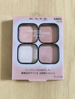 ケイト　ポッピングシルエットシャドウ　EX-5 限定品