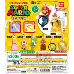 スーパーマリオ めじるしアクセサリー2