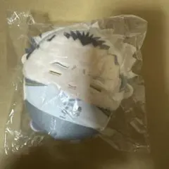 ハイキュー‼︎ くじメイト　ぬいくじ　D賞 木兎光太郎