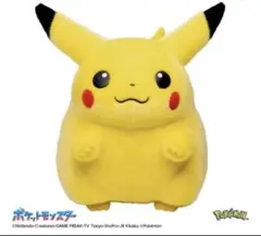 ポケモン30周年記念 おかえり！ピカチュウ1/1 タカラトミー 新品未使用