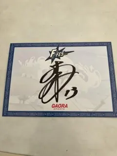 生田目 翼　直筆サイン