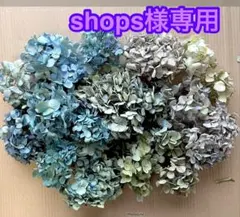 紫陽花 ドライフラワー 北海道産 60サイズ L 46 紫系 - メルカリ