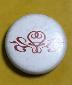 藤井フミヤ　ライジングサン 缶バッジ　2009