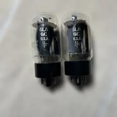 2025年最新】ge 6l6gcの人気アイテム - メルカリ