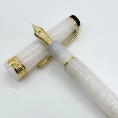 未使用級☆ SAILOR セーラー　四季織　雪椿　万年筆　生産終了　MFのサムネイル