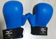 Item thumbnail for item 57cf4705-32d4-4696-ba0d-ebb62663407b