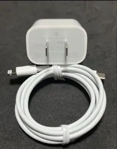 Apple 純正 iPhone iPad 20W充電器＆USB-Cケーブル