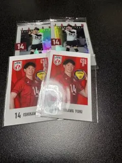 バレーボール男子 日本代表 石川セット