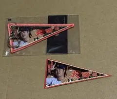 オリックス・バファローズ　太田　椋　ふるさとオールスター　キーホルダー