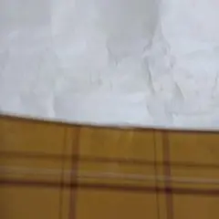 Item thumbnail for item 4ddf0bc1-ee18-447f-bbb0-5b11464b0f05