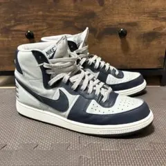 Terminator High "Georgetown"