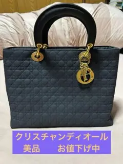 2026年最新】Christian Dior レディース ハンドバッグの人気アイテム 