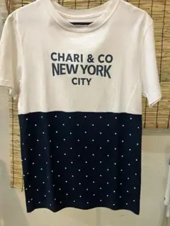 CHARI&CO チャリアンドコー　半袖ハーフドットTシャツ　Sのサムネイル