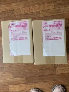 完全未開封 シュリンク付きムニキスゼロ BOXポケモンカード 30パック10個